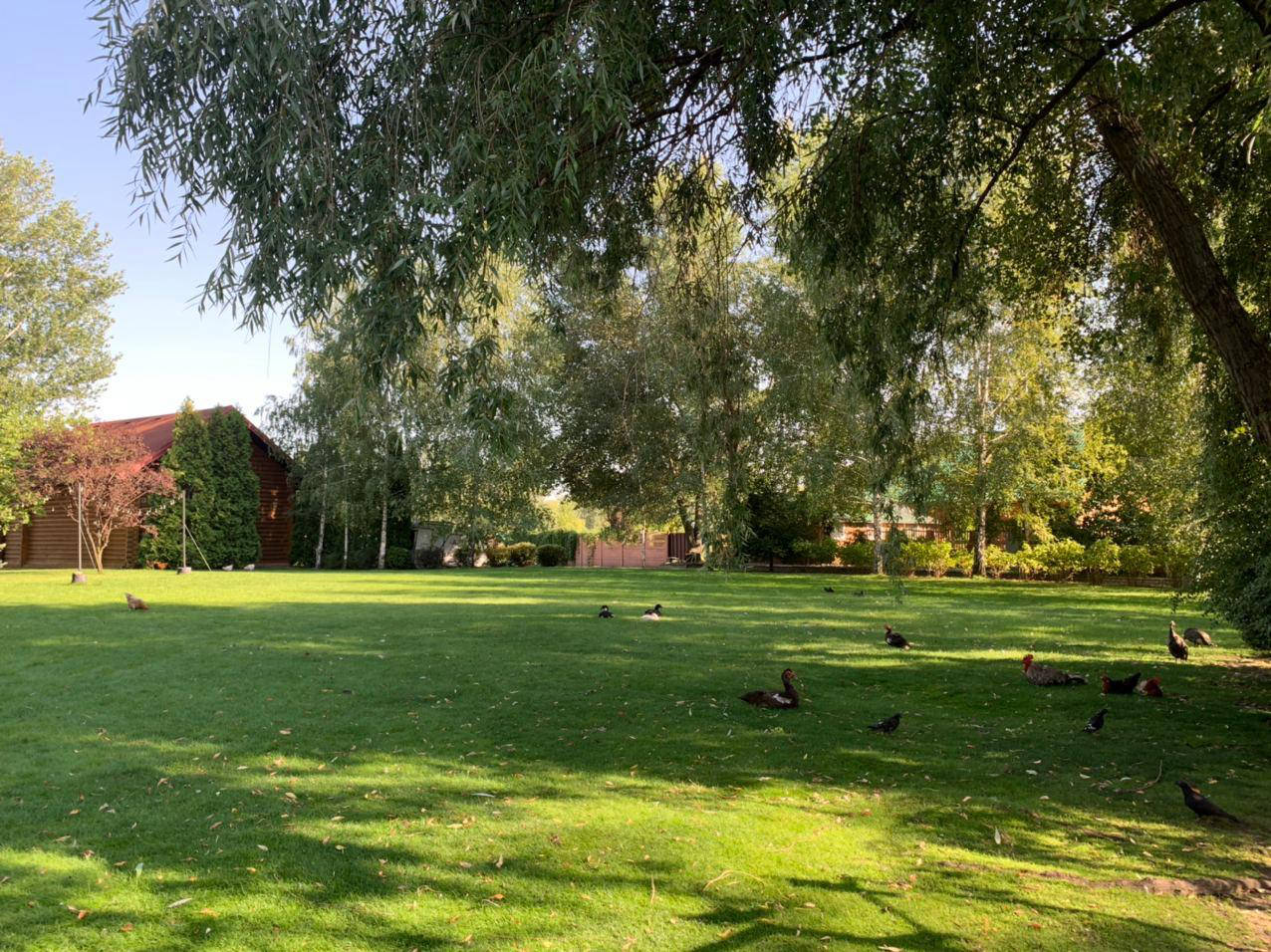 Ресторан, Хутор, Дніпро, українська, кухня, оренда, котеджів, готель, банкетні, зали, весілля, ювілей, сауна, лазня