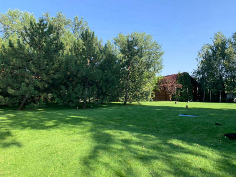 Ресторан, Хутор, Дніпро, українська, кухня, оренда, котеджів, готель, банкетні, зали, весілля, ювілей, сауна, лазня