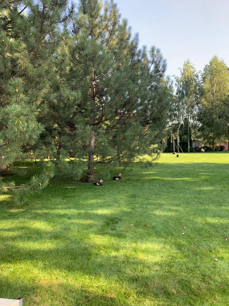 Ресторан, Хутор, Дніпро, українська, кухня, оренда, котеджів, готель, банкетні, зали, весілля, ювілей, сауна, лазня